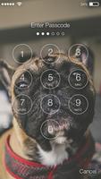 Pug Dog Lock App 스크린샷 1
