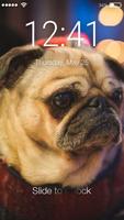 Pug Dog Lock App captura de pantalla 2