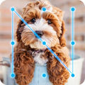 Poodle Dogy Style  AppLock