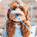 Poodle Dogy Style  AppLock APK