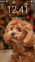 Poodle Dogy Style  AppLock Affiche