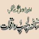 Islami Waqiat offline PDF APK