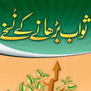 APK Swabi Nuskhy Offline PDF