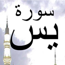 Surah Yaseen Offline PDF APK