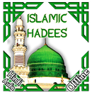 Islamic Hadees in Hindi APK