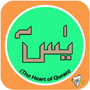 Surah E Yaseen APK