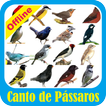 Canto de Pássaros Brasil