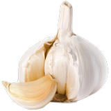 Benefits of Garlic ikon