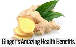 Benefits of Ginger plakat