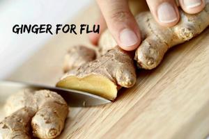 Benefits of Ginger скриншот 3