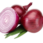 Health Benefits of Onions 아이콘