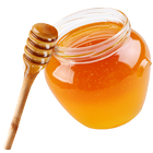 Honey Uses and Benefits 아이콘