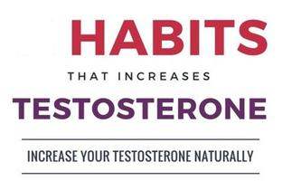 Augmenter votre testostérone Affiche