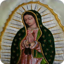 Fotos De La Vrigen De Guadalupe APK