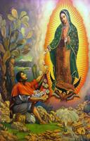 Fotos De La Vrigen De Guadalupe 截圖 2