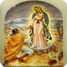 La  Guadalupe de Mexico أيقونة