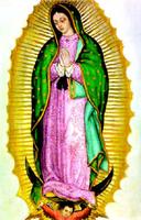La Guadalupe Affiche