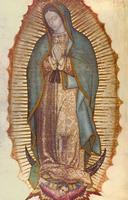 Virgen de Guadalupe 3d Affiche