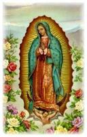 Virgen de Guadalupe 3d captura de pantalla 1
