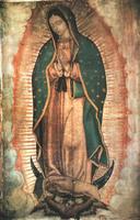 Virgen de Guadalupe Novena Affiche