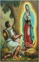 Virgen de Guadalupe Novena скриншот 1