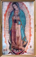 Virgen de Guadalupe Novena ภาพหน้าจอ 3