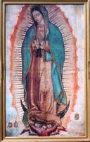 Virgen de Guadalupe Novena capture d'écran 3