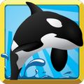 Orca Feast