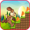 Jungle bunny run APK