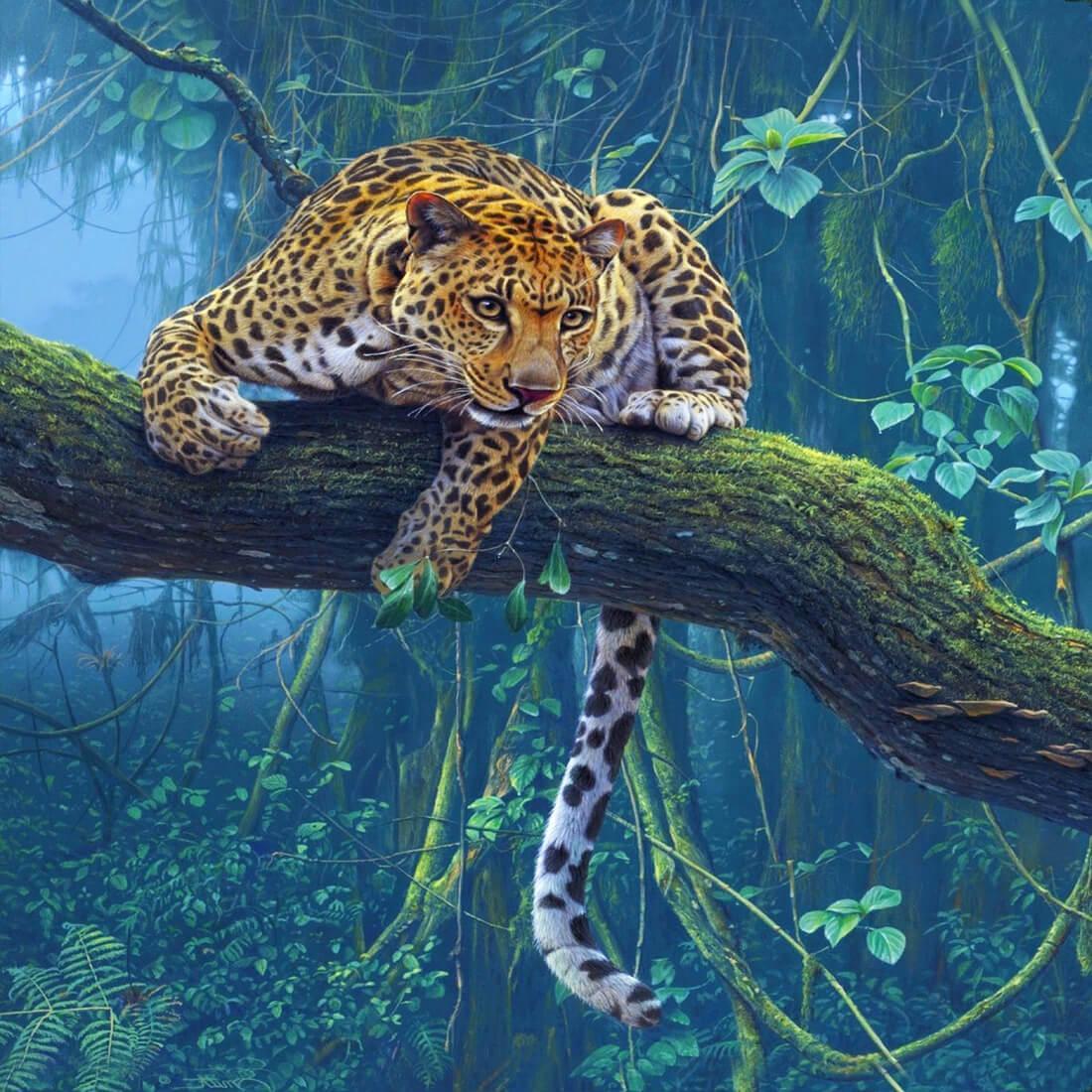 Koleksi 6100 Gambar Animasi  Binatang  Di  Hutan  HD Terbaik 