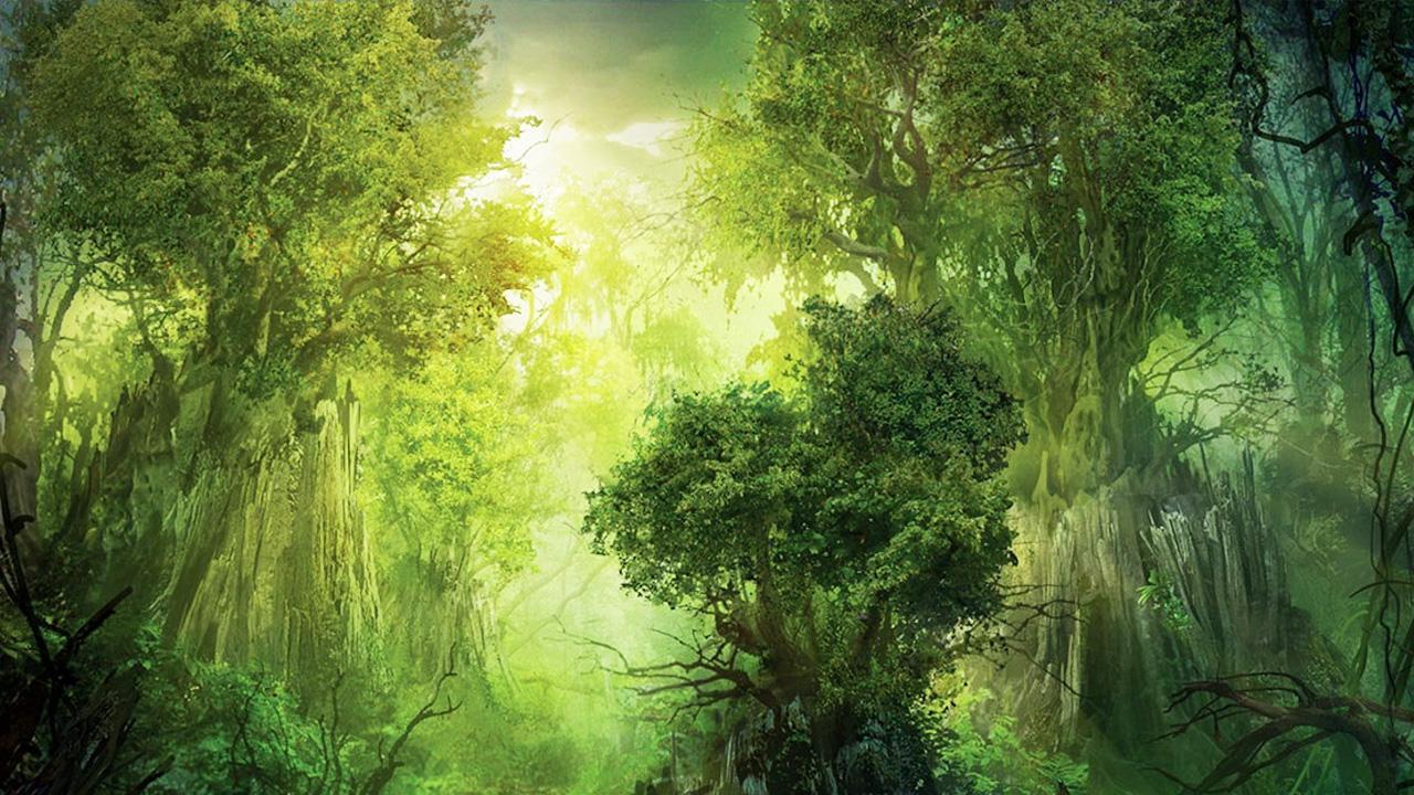 Koleksi 6100 Gambar Animasi  Binatang  Di  Hutan  HD Terbaik 