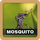 Mosquito Sound Ringtone APK