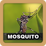 Mosquito Sound Ringtone