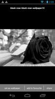 Black Rose Wallpapers HD capture d'écran 3
