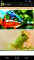 Chameleon Wallpapers capture d'écran 1