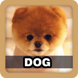 Dog Barking Ringtone Sound icon