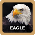 Eagle Sound Ringtone icône