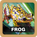 Frog Sound Ringtone APK