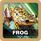 Frog Sound Ringtone アイコン