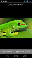 Gecko Lizard Wallpapers HD capture d'écran 2