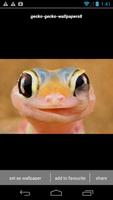 Gecko Lizard Wallpapers HD captura de pantalla 3