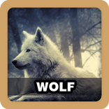 Wolf Sound Ringtone