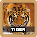 Tiger Sound Effect APK