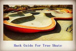 Guide for True Skate capture d'écran 2