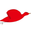 Red Bird APK