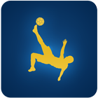 WinnerScore LiveScore App 图标