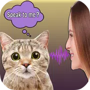 Translator For Cats Simulator