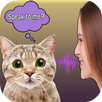Translator For Cats Simulator APK