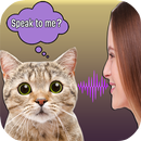 Translator For Cats Simulator APK