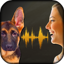 Dog Voice Translator Simulator APK